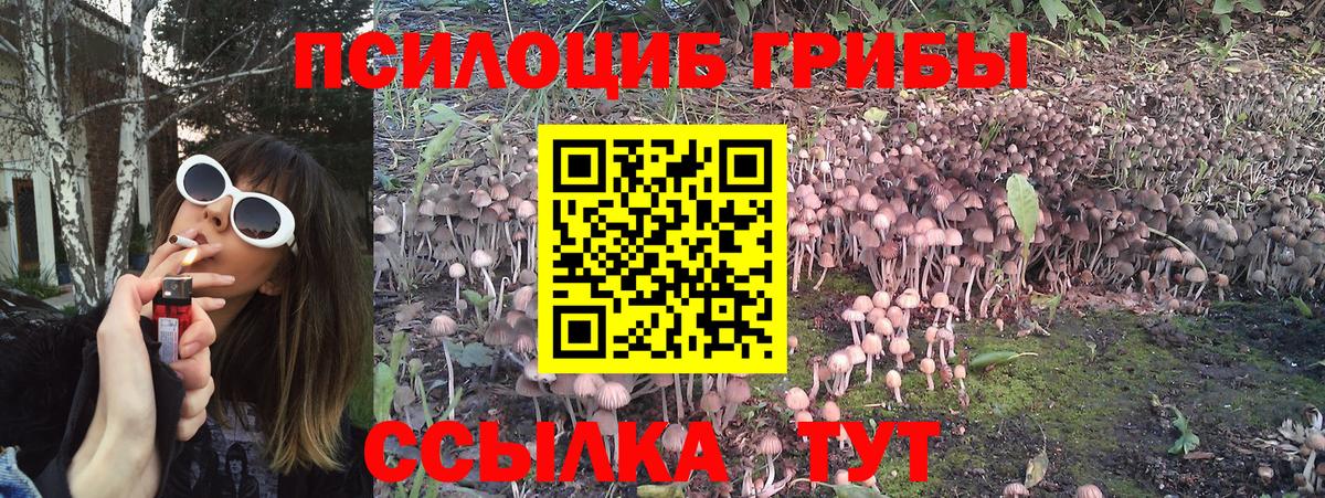 Сатка  наркотики  Вход с VPN  Псилоцибиновые грибы прущие грибы 